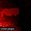 Mersin de orman yangını Mersin de orman yangını