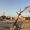 Halep'e varil bombalı saldırıda 59 kişi öldü