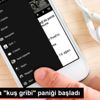 Fransa da "kuş gribi" paniği başladı