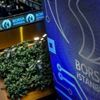 Borsa günü yükselişle tamamladı Borsa günü yükselişle tamamladı