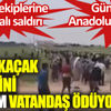 Şanlıurfa'da ekiplere taşlı sopalı saldırı. Kayıp kaçak bedelini masum vatandaş ödüyor Şanlıurfa'da ekiplere taşlı sopalı saldırı. Kayıp kaçak bedelini masum vatandaş ödüyor