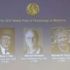 2017 Nobel ödülleri sahiplerini buluyor