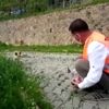 "Vefalı eller" karşılaştıkları tilkinin de yiyecek ... "Vefalı eller" karşılaştıkları tilkinin de yiyecek ...