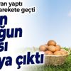 Ticaret Bakanlığı harekete geçti! Gezen tavuğun foyası ortaya çıktı