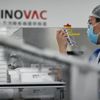 Sinovac’tan Türkiye'den web sitesine erişim engeliyle ilgili açıklama Sinovac’tan Türkiye'den web sitesine erişim engeliyle ilgili açıklama