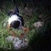 Dondurma yerken bacağından vuruldu Dondurma yerken bacağından vuruldu