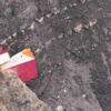 Düşen uçakla ilgili korkunç iddia !