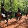 Belgrad Ormanları'nda atlı korumalar