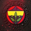 Fenerbahçe'de iki sakat daha