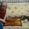 Kedinin tavla merakı