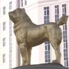 Türkmenistan lideri törenle milli köpeğin altın heykelini diktirdi