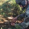 Tunceli’de ele geçirildi: Tam 100 kilo