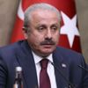 TBMM Başkanı Şentop: "Terör örgütüne ve onun tüm destekçilerine lanet olsun"