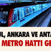 Elazığ'daki kurt saldırısı Elazığ'daki kurt saldırısı