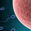 Erkek derisinden yapay sperm Erkek derisinden yapay sperm