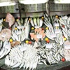 Balık fiyatları ikiye katlandı Balık fiyatları ikiye katlandı