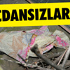 Başıboş Köpeklerin Saldırdığı Çocuk Yaralandı Başıboş Köpeklerin Saldırdığı Çocuk Yaralandı