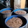 2 bin 925 litre sahte içki yakalandı 2 bin 925 litre sahte içki yakalandı