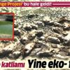 İzmir'in 'Simge projesi' denmişti! Göletlerde balıklar, kirlilik nedeniyle öldü