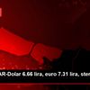 PİYASALAR-Dolar 6.66 lira, euro 7.31 lira, sterlin ...