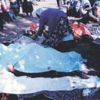 Başbağlar Katliamı nedir? Başbağlar Katliamı nedir?