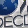 OECD: Büyük ekonomilerin çoğunda büyüme yavaşladı