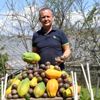 Bağışıklık sistemini güçlendiren tropikal meyveler Bağışıklık sistemini güçlendiren tropikal meyveler