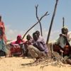 Somali'de salgın hastalık uyarısı Somali'de salgın hastalık uyarısı