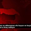 Morkaraman ve akkaraman ırkı koyun ve koçlar Azerbaycan ...