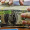 Yunanistan seçimlerinden sonra euro yükseldi Yunanistan seçimlerinden sonra euro yükseldi