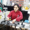 Dünyanın kornacısı Türkiye’den Dünyanın kornacısı Türkiye’den