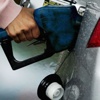 Benzine 7 kuruşluk indirim Benzine 7 kuruşluk indirim