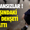 Spor Toto 2. Lig Spor Toto 2. Lig