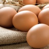 Yumurtayı nasıl taze tutarız?