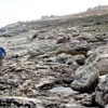 Malta’ya tsunami uyarısı Malta’ya tsunami uyarısı