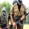 Şırnak'ta 5 Terörist Teslim Oldu Şırnak'ta 5 Terörist Teslim Oldu