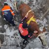 Aksaray'da inek kurtarma operasyonu Aksaray'da inek kurtarma operasyonu