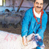Yasak dinlemedi! Miami'de mangal keyfi Yasak dinlemedi! Miami'de mangal keyfi
