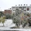 Bitlis e mevsimin ilk karı yağdı Bitlis e mevsimin ilk karı yağdı