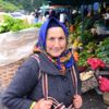En organik pazar En organik pazar