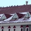 Kars ta kamyonların depoları dondu Kars ta kamyonların depoları dondu