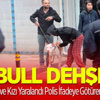 Pitbull Dehşeti!