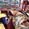 İstanbul Boğazı'nda tekne faciası