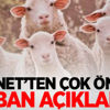 Diyanet'ten önemli açıklama