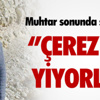 Vali Şahin, sağlıktaki gelişmeleri Fransız İhtilali’ne benzetti Vali Şahin, sağlıktaki gelişmeleri Fransız İhtilali’ne benzetti