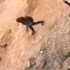 Kız yurdunun önünde iğrenç olay!