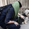 İran'da 'köpekseverler kırbaçlansın' teklifi İran'da 'köpekseverler kırbaçlansın' teklifi