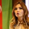 Azeri vekilden AP'nin kararına tepki Azeri vekilden AP'nin kararına tepki