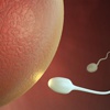 İnsan embriyosunun genetiği değiştirildi İnsan embriyosunun genetiği değiştirildi