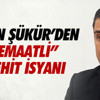Düzce’de Teröre Lanet Şehitlere Saygı Yürüyüşü Düzce’de Teröre Lanet Şehitlere Saygı Yürüyüşü